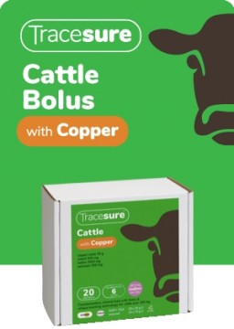 Tracesure Cattle® med Kobber -20 doser