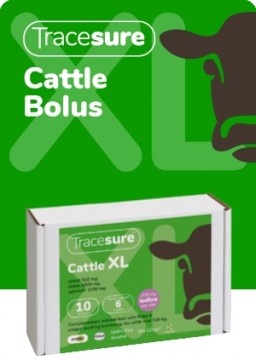 Tracesure Cattle XL  - for storfe over 500 kg